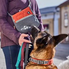 {
  "en": "",
  "sv": "",
  "fi": "",
  "da": "",
  "de": "",
  "et": ""
}