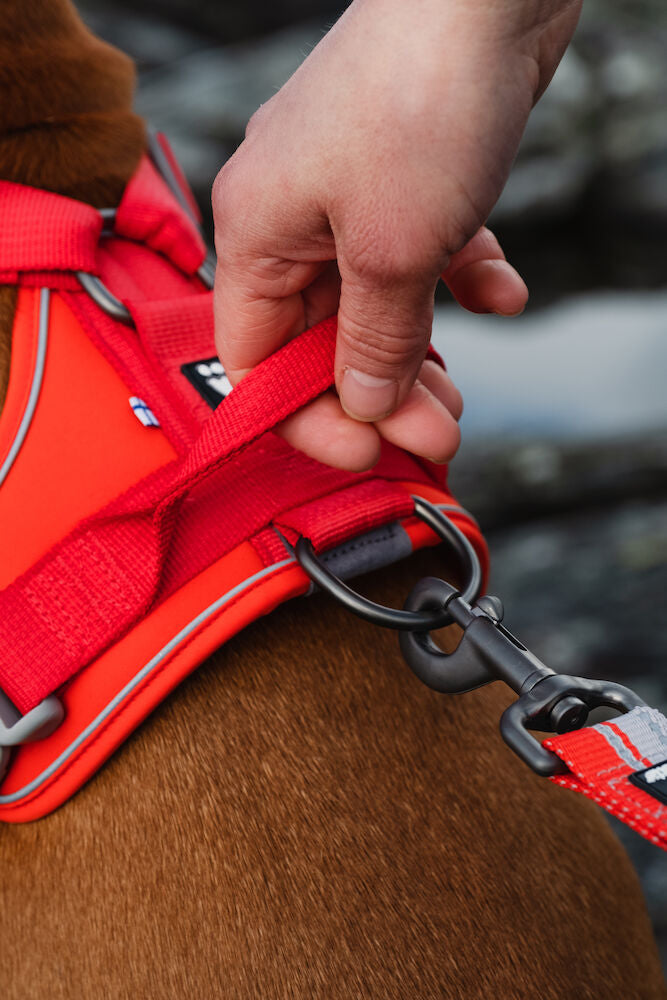 Weekend Warrior Harness ECO