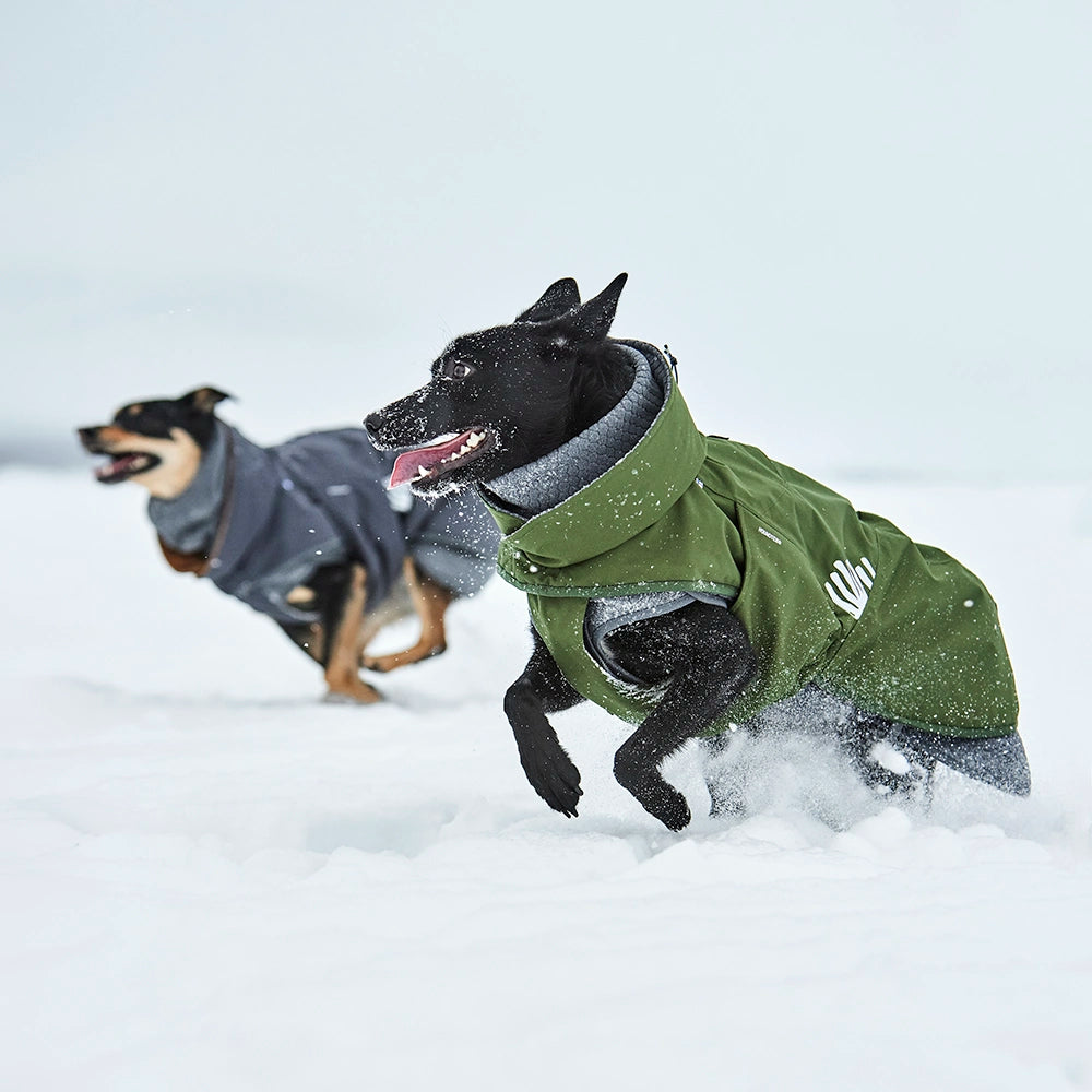 Walk All-Season Jacket