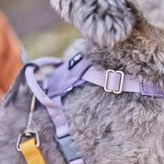 {
  "en": "",
  "sv": "",
  "fi": "Seeker Harness",
  "da": "",
  "de": "",
  "et": ""
}