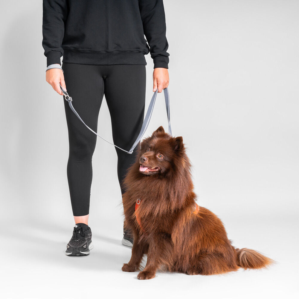 Multilong Leash II