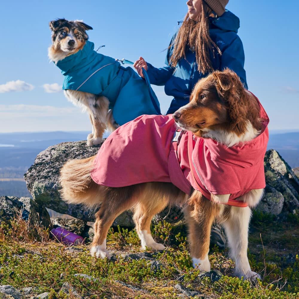Expedition Parka II – Warm & Weatherproof dog winter coat – Hurtta.com