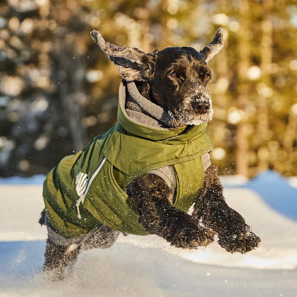Walk All-Season Jacket