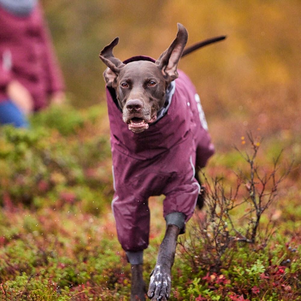 Extreme Overall for dogs – Hurtta.com