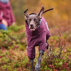 {
  "en": "",
  "sv": "",
  "fi": "",
  "da": "",
  "de": "",
  "et": ""
}