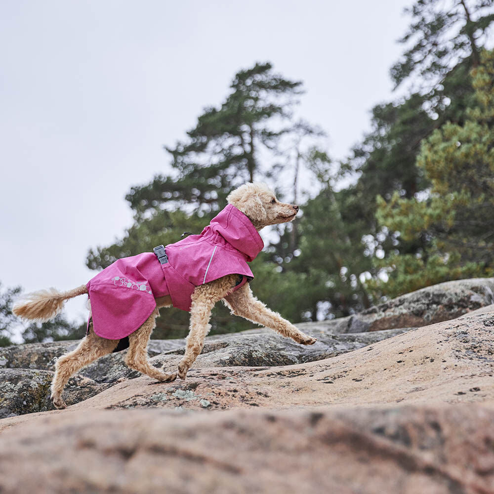 Monsoon Raincoat for Dogs II ECO - Hurtta.com