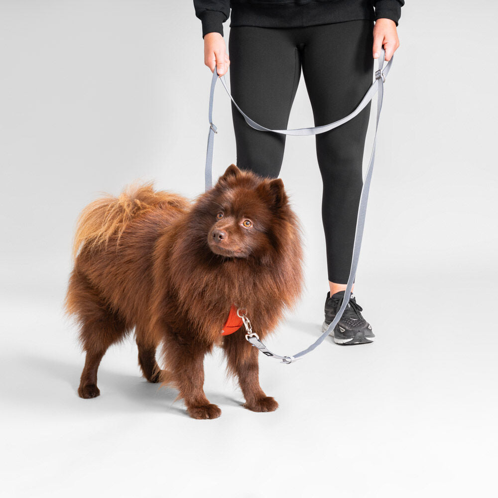 Multilong Leash II