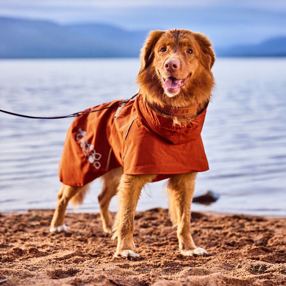 Monsoon Coat II