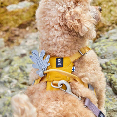 {
  "en": "",
  "sv": "",
  "fi": "Seeker Harness",
  "da": "",
  "de": "",
  "et": ""
}