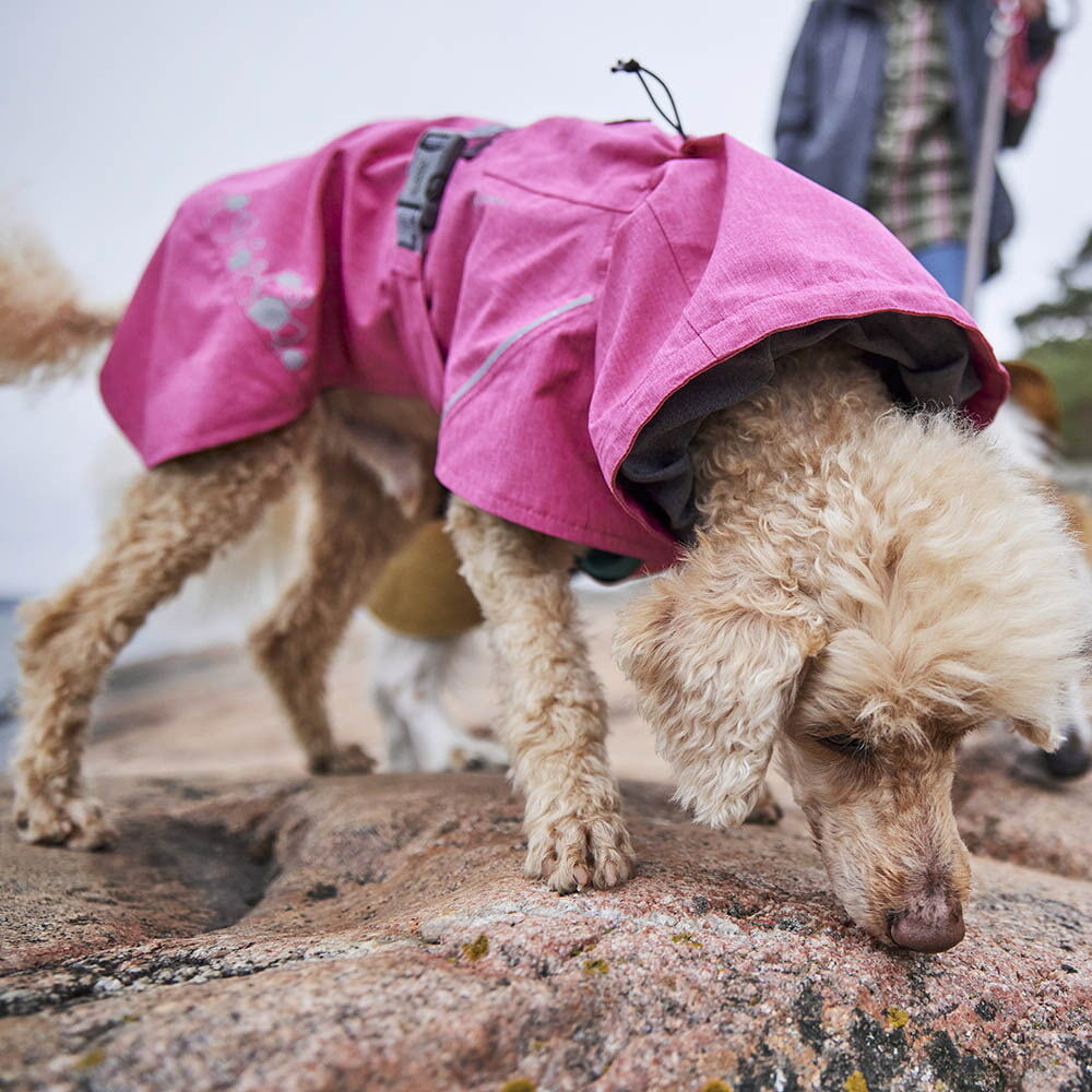 Hurtta monsoon coat hot sale