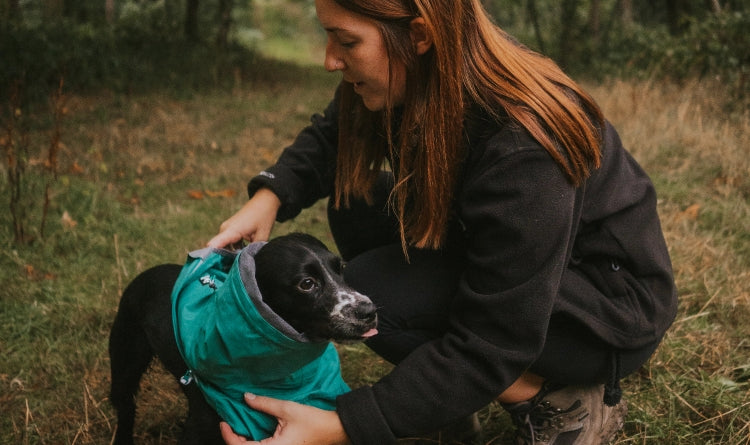 The overall’s clever half-zip construction makes dressing and removal quick and easy, something you and your dog will both appreciate. The Mudventure Overall ECO also features incredible adjustability. 