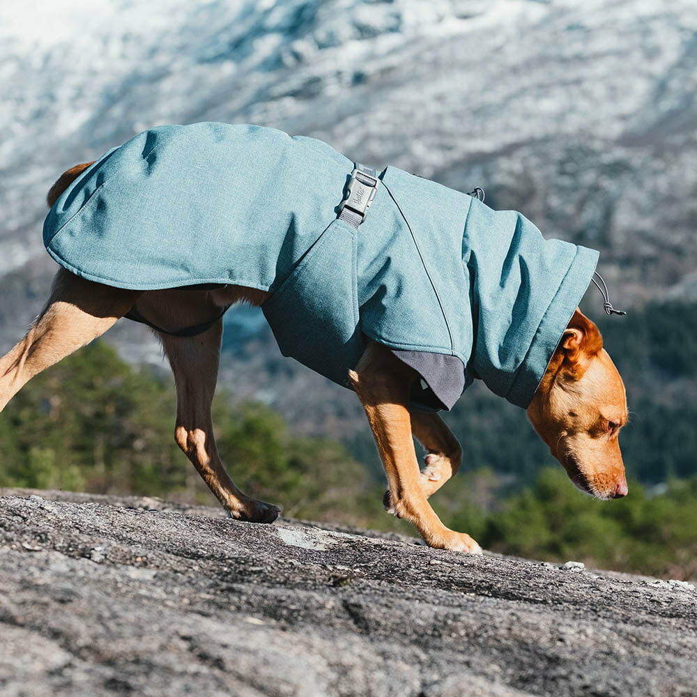 Expedition Parka koirantakki – Hurtta.com Expedition Parka koirantakki – Hurtta.com