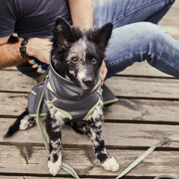 HURTTA Razzle-Dazzle Grip Leine – ACTIVEDOG - Für Outdoor-Hunde!