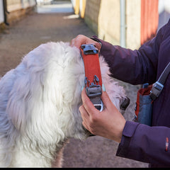 {
  "en": "",
  "sv": "",
  "fi": "",
  "da": "",
  "de": "",
  "et": ""
}