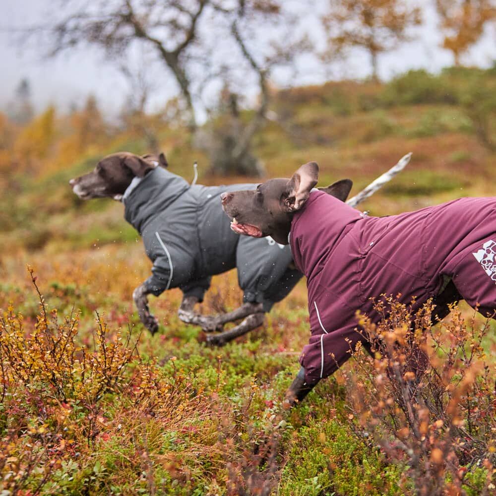 Hurtta 犬用　スノーウェア Extreme Overall for dogs – Hurtta.com