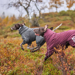 {
  "en": "",
  "sv": "",
  "fi": "",
  "da": "",
  "de": "",
  "et": ""
}