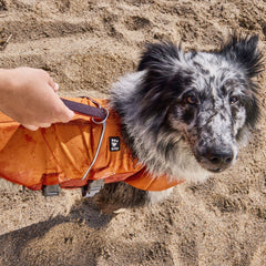 {
  "en": "",
  "sv": "",
  "fi": "",
  "da": "",
  "de": "",
  "et": ""
}