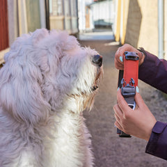 {
  "en": "",
  "sv": "",
  "fi": "",
  "da": "",
  "de": "",
  "et": ""
}