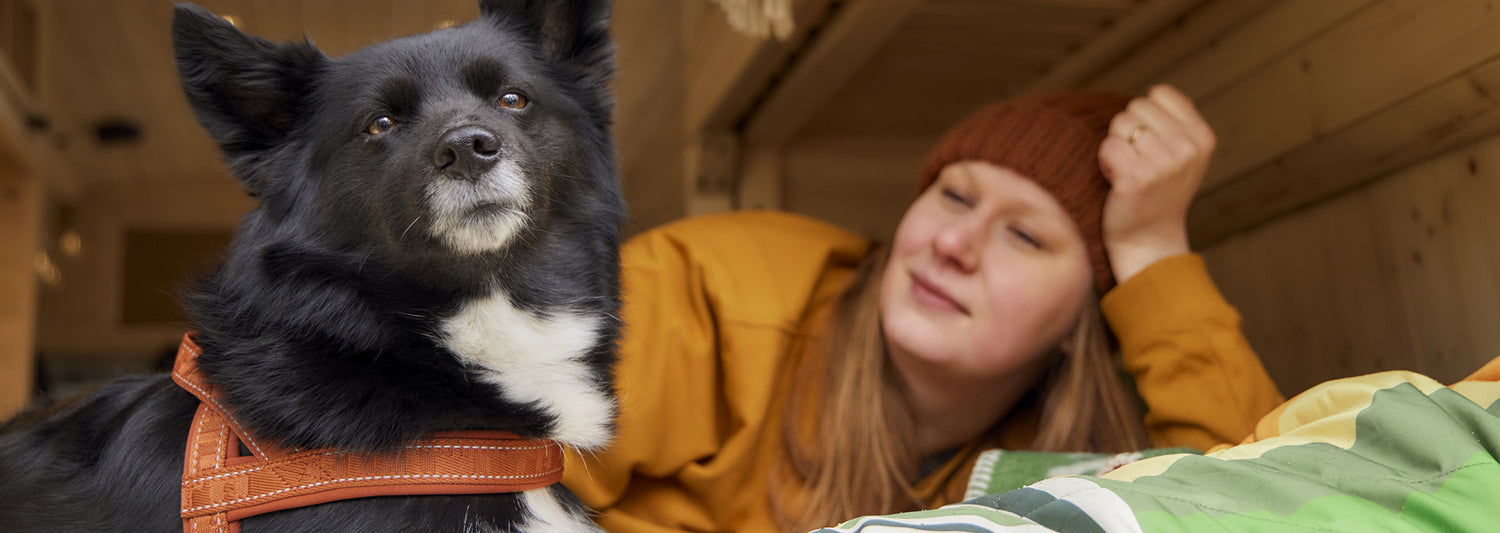 Made with strong recycled materials, the Casual ECO Collection is a more sustainable version of one of our most popular, hardworking harness, collars and leashes