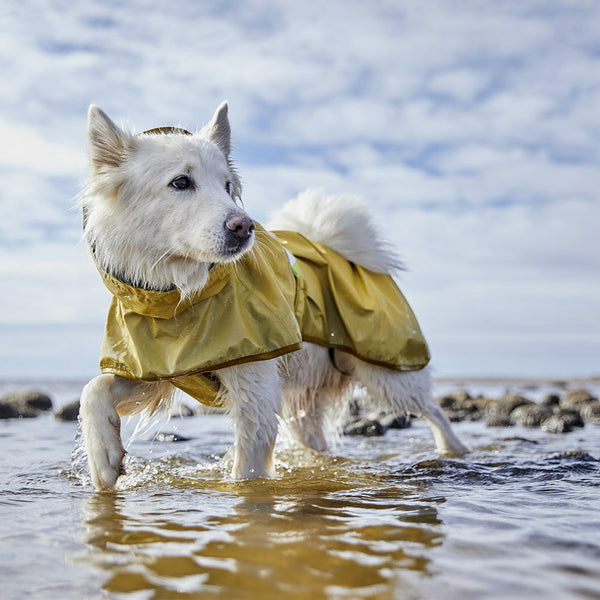Mudventure Reflective Raincoat for dogs – Hurtta.com