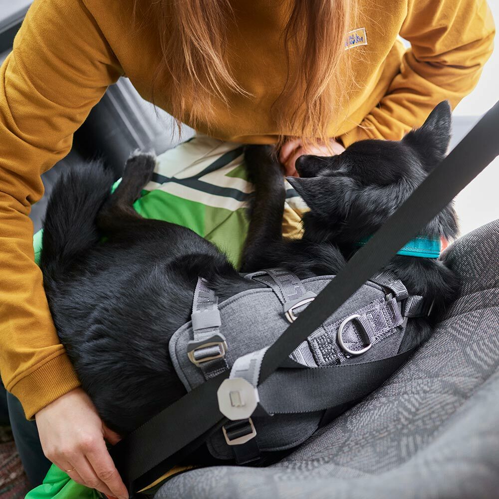 Reise-Hundegeschirr ECO