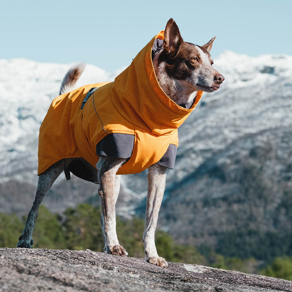 Expedition Parka
