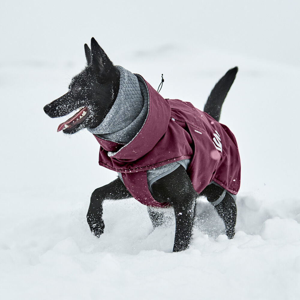 Walk All-Season Jacket