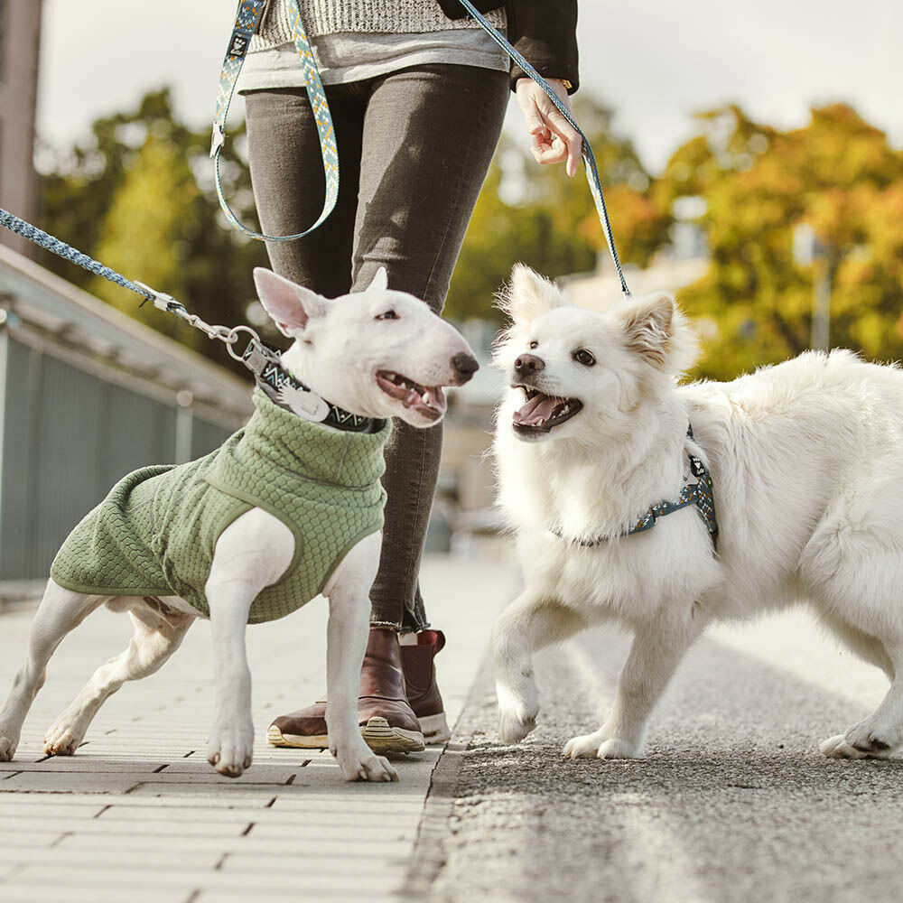 新作商品 Razzle-Dazzle Midlayer jacket – Hurtta.com 犬服・アクセサリー
