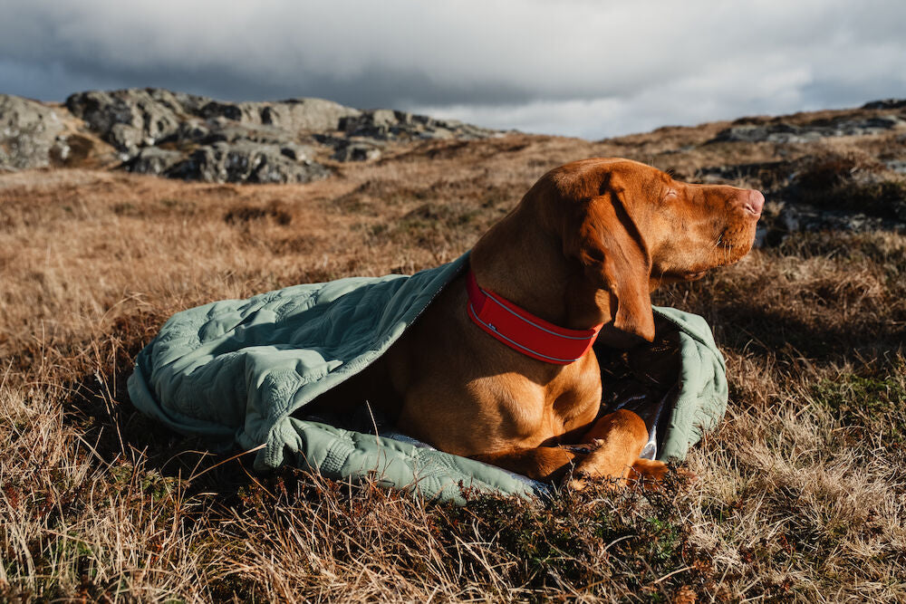 Hurtta / Outback Dreamer 犬用寝袋 Outback Dreamer ECO – Hurtta.com