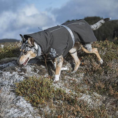 Extreme Warmer winter jacket for dogs – Hurtta.com
