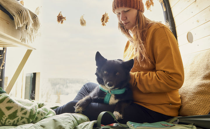 Made with comfortable, durable recycled materials, the Casual ECO collection offers a more sustainable version of our popular, hardworking Casual harnesses, collars and leashes that give you all the control and peace of mind you need.