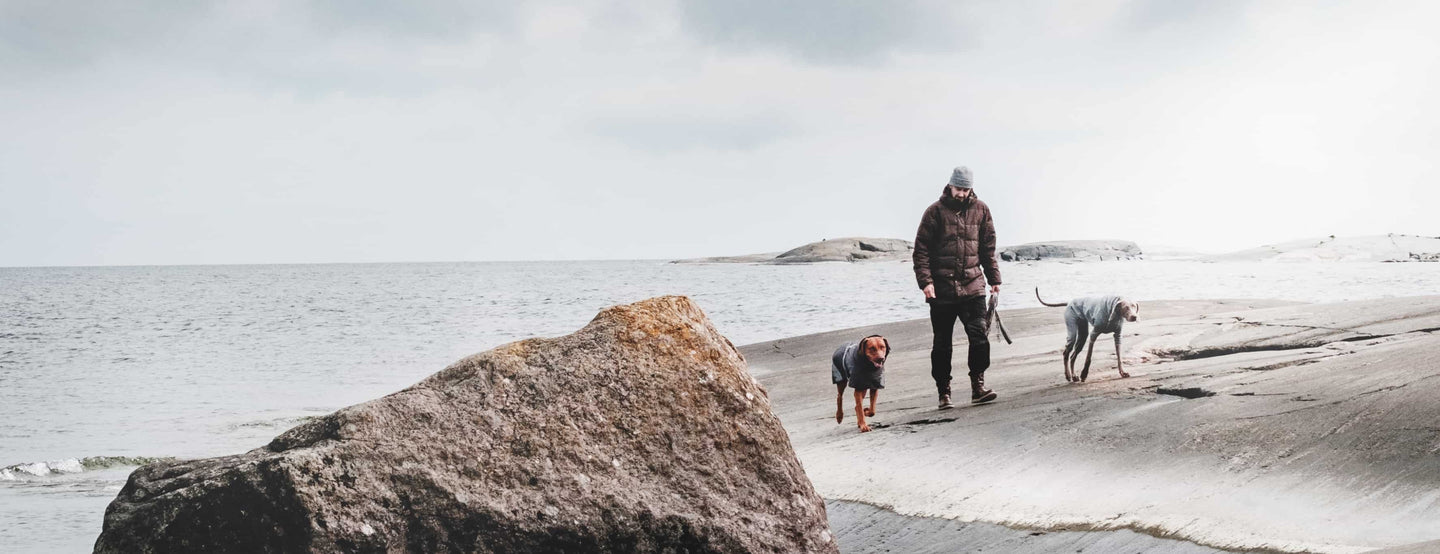 Dog clothing helps dogs adapt to their lives with people.