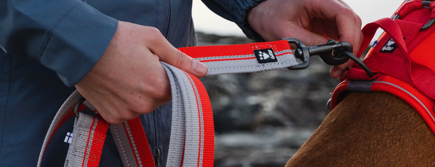 Select a leash that matches your dog's size, behaviour and your use purpose.
