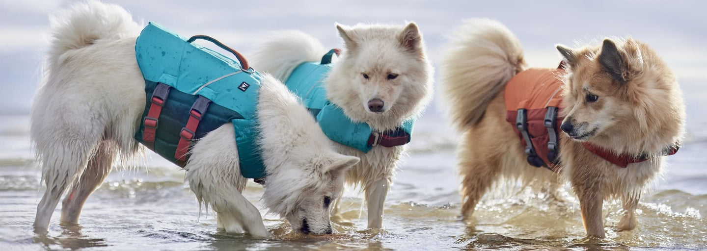 Cool, safe and stylish in the Hurtta Life Savior ECO life jacket for dogs. Choose your favorite color - Peacock or Buckthorn?