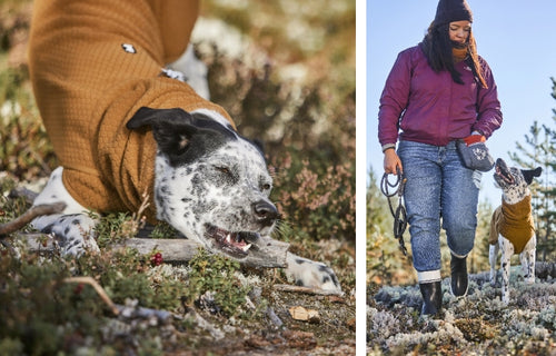 Extra warming for cool, dry weather