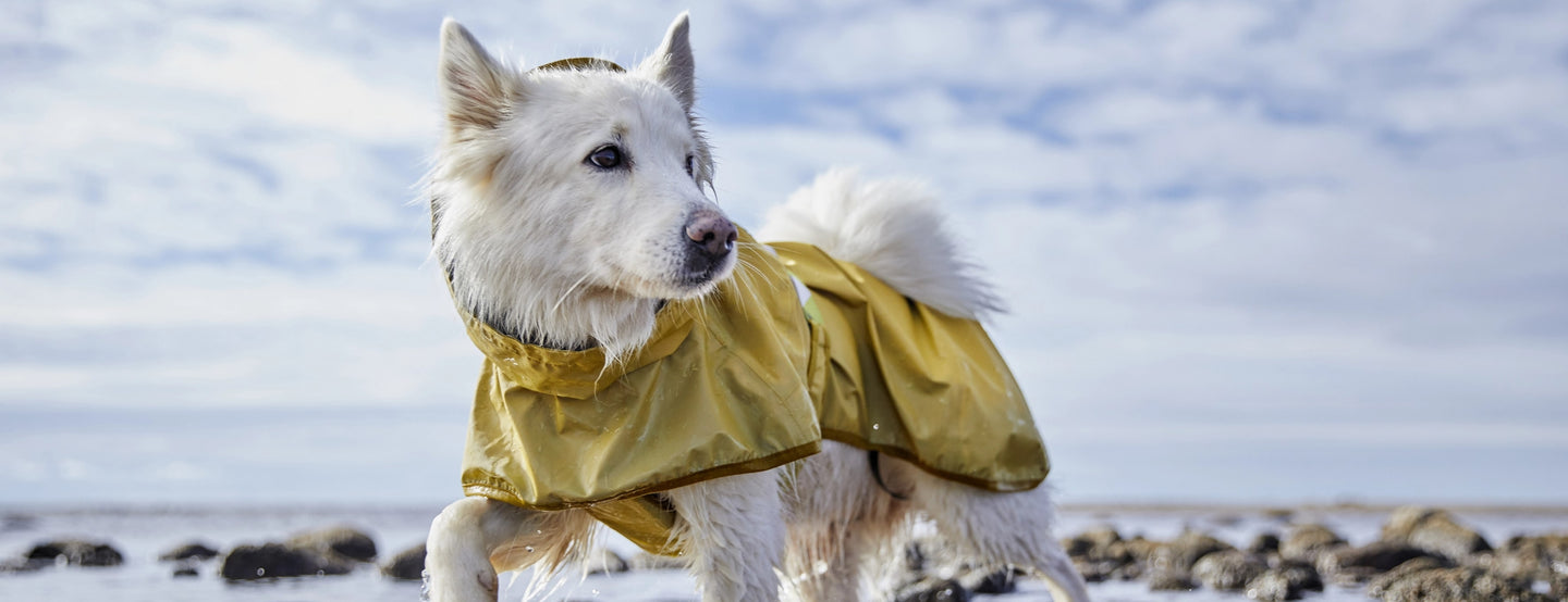 Shiny, reflective raincoat