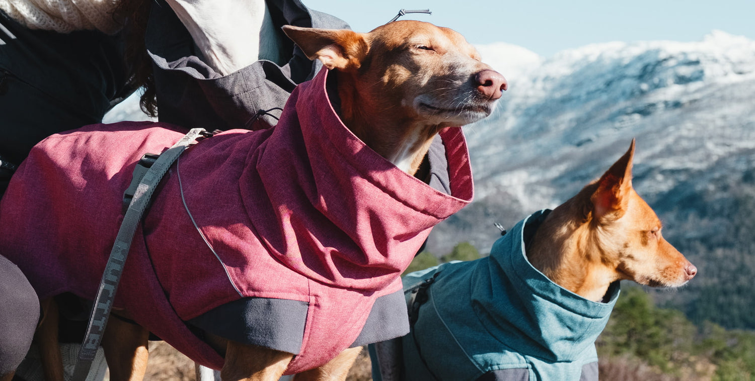 Hurtta dog coats and jackets are designed to provide extra warmth