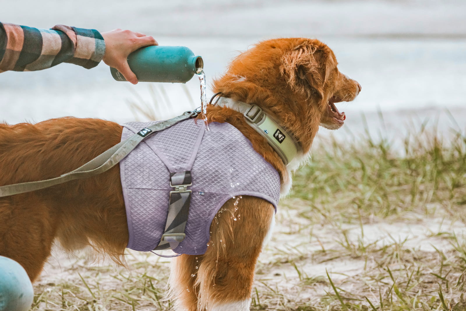 Hurtta Cooling Wrap 65-75cm 犬用冷却ベスト Cooling vest for dogs: keep your dog cool in summer – Hurtta.com
