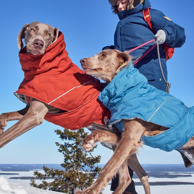 Make winter shiver for a change – Hurtta.com