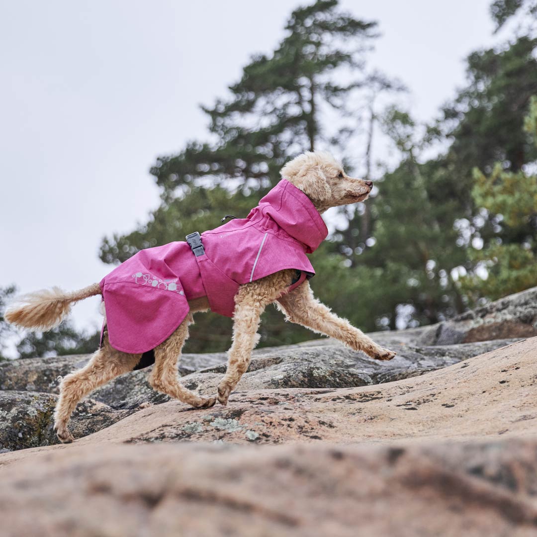 Hurtta monsoon coat hot sale