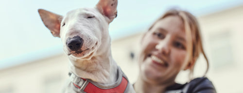 A man's best friend, and an adventure partner for many years. 