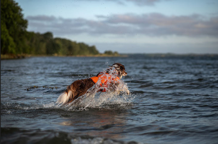 
    Life Savior ECO Schwimmweste für Hunde
