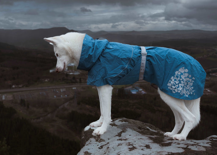 
    Monsoon Coat Hundemantel